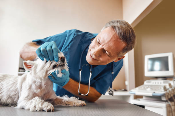 Best Emergency Broken Tooth Repair in Cedar Grove, FL
